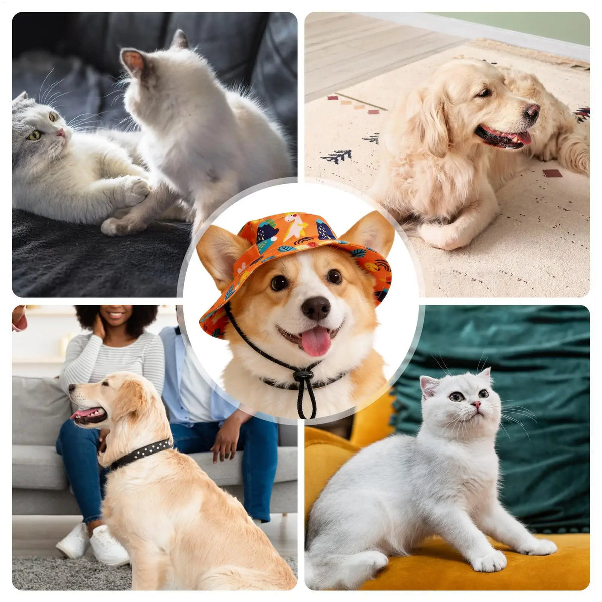 Adjustable Dog Sun Hat with Ear Holes – Breathable, UV Cover