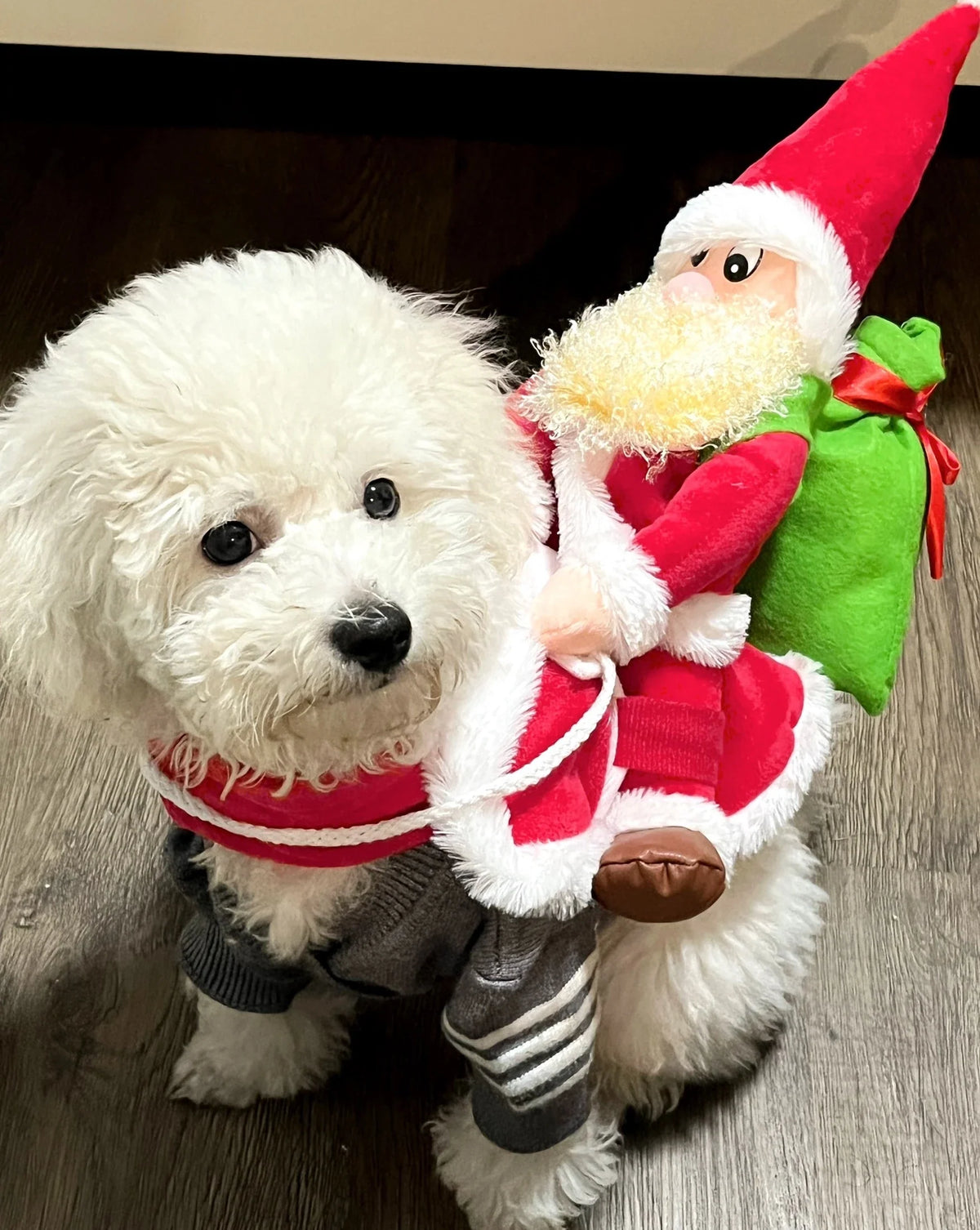 Santa Claus Riding Suit Pet Christmas Dog Cat Clothing Clothes Small