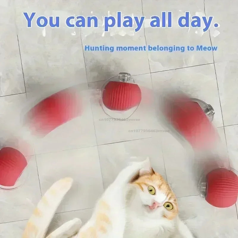 Electronic Auto-Rolling Interactive Cat Ball Toy | USB Rechargeable