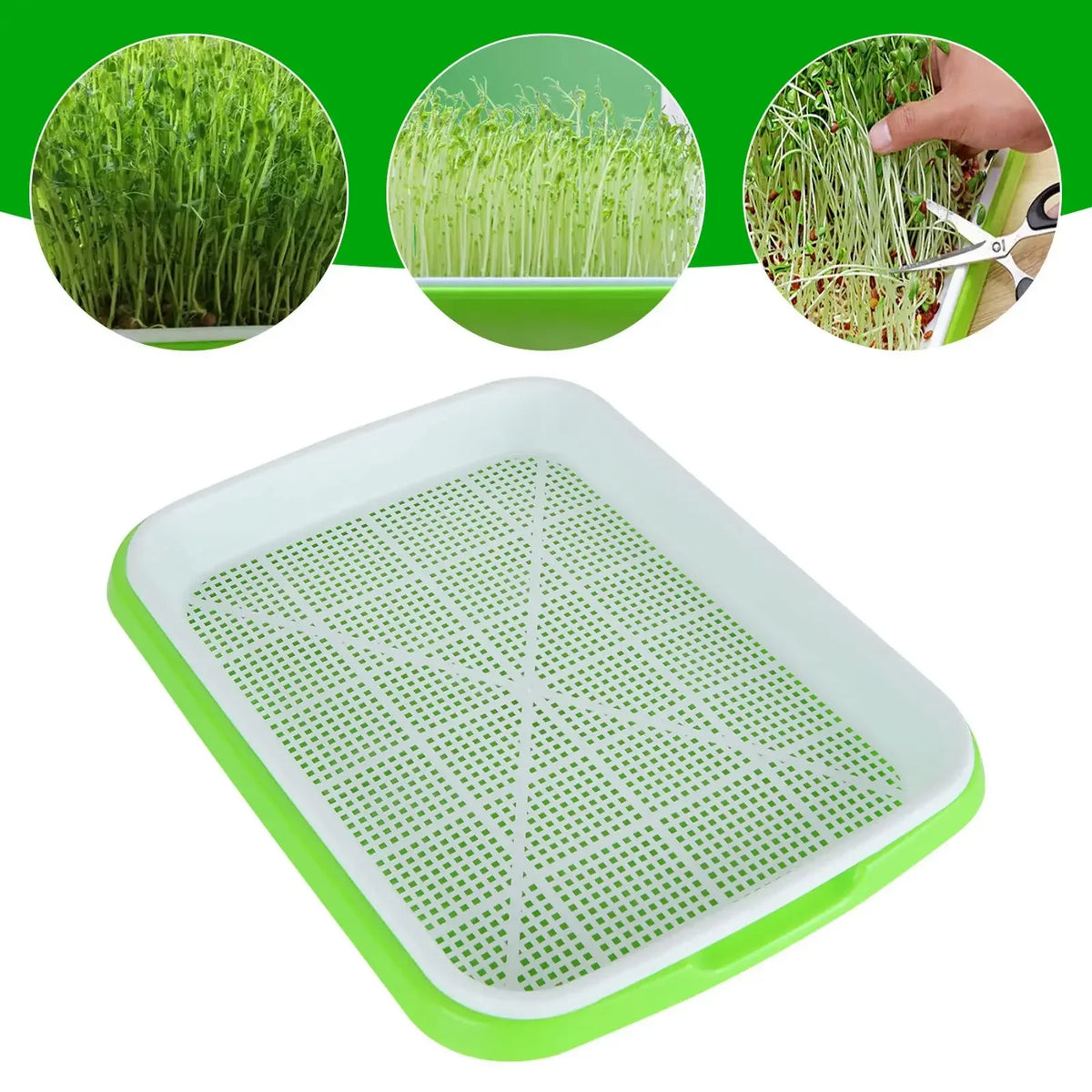 Microgreens Sprouting Tray for Hydroponic & Nursery Growing