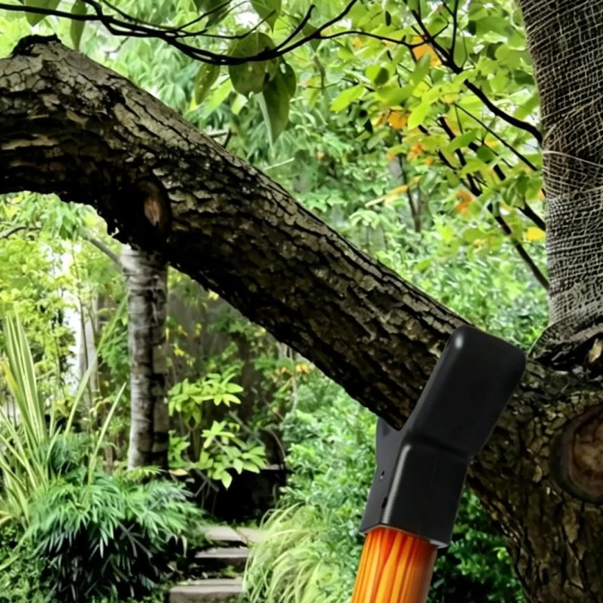 U-Shape Tree Branch Support Brace – Fruit & Snow Protection