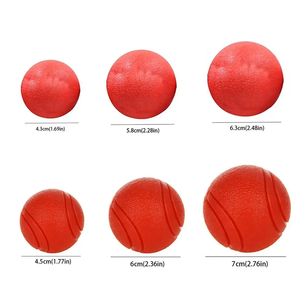 Pet Rubber Chew Ball – Dog Training Bouncy Molar Toy