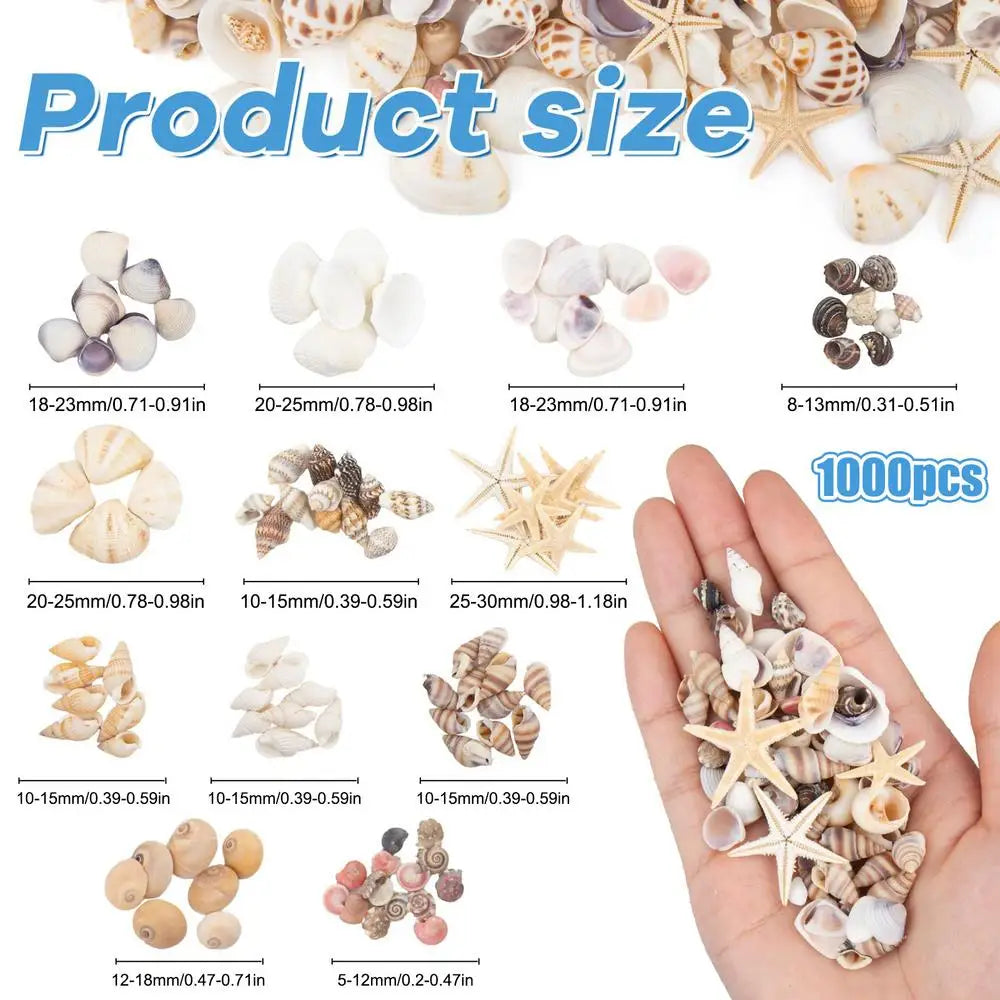 1000pc Mini Seashells & Starfish Mix – DIY Crafts & Aquarium Decor