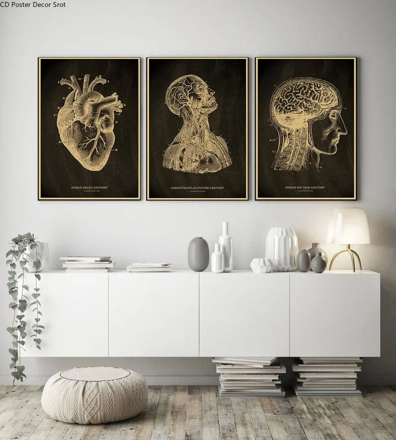 Anatomical Skeleton Vintage Kraft Paper Poster | Medical Wall Art