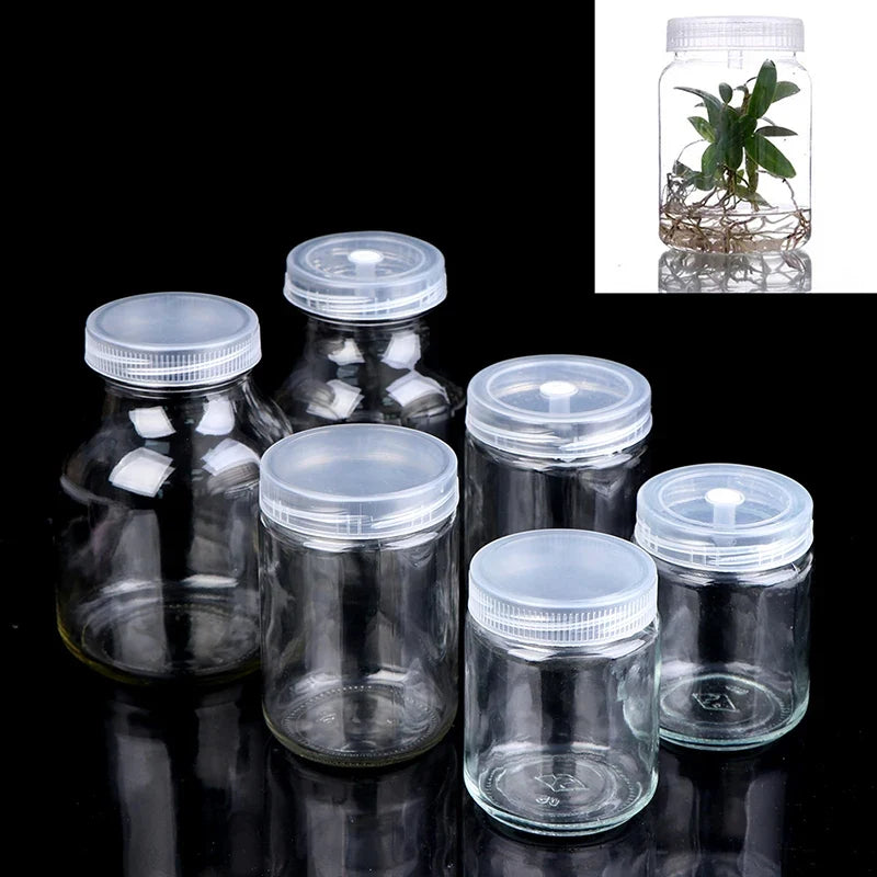 240ml Glass Tissue Culture Jar – Plant Seedling Propagation
