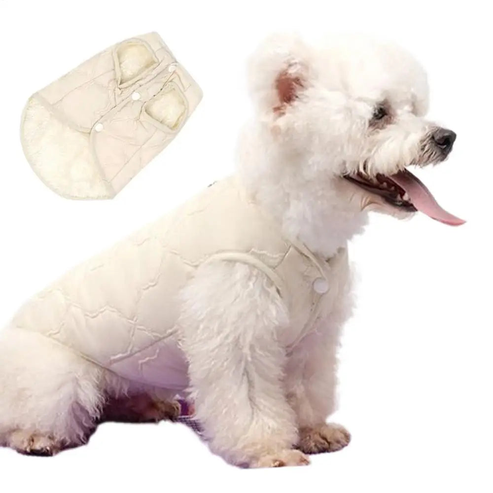 Windproof Insulated Dog & Cat Winter Coat | Pet Jacket