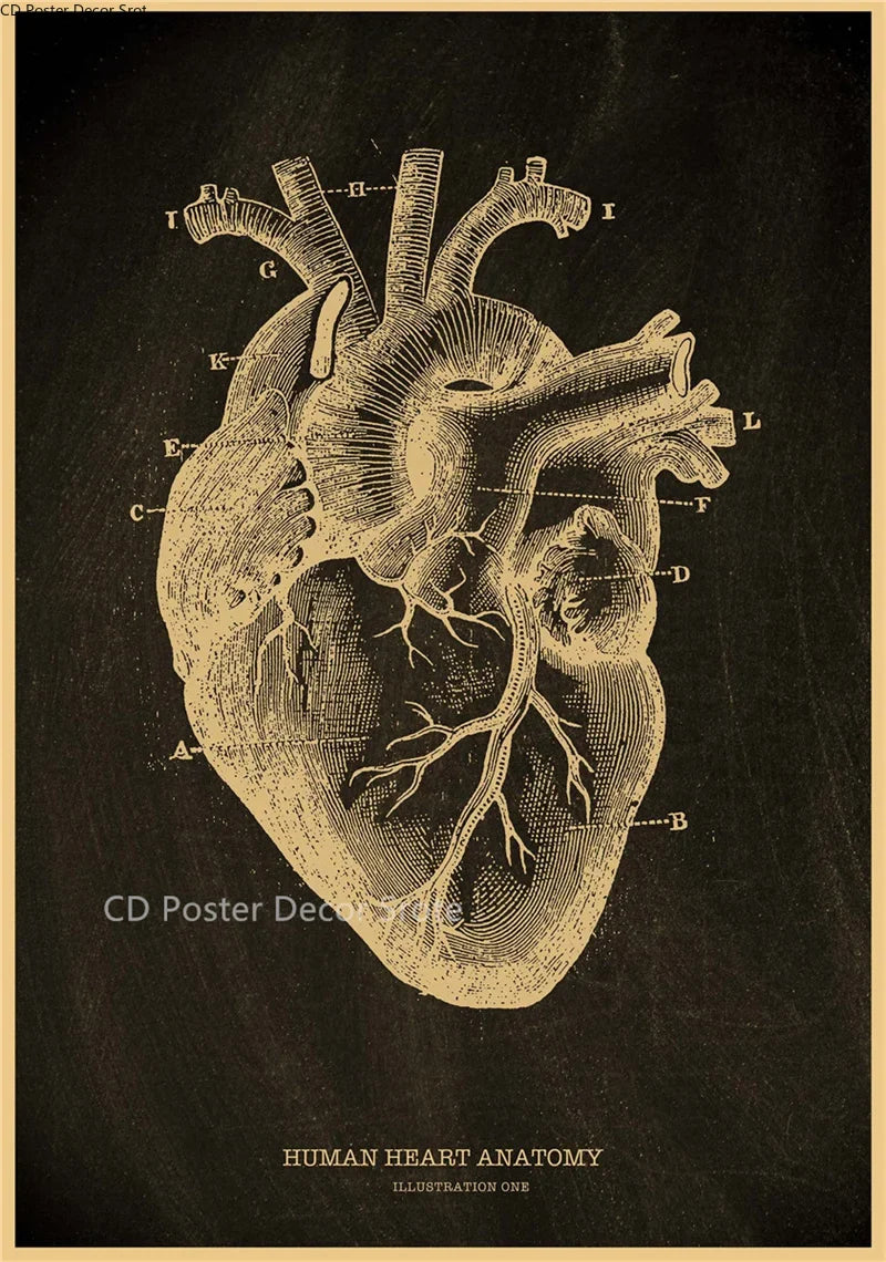 Anatomical Skeleton Vintage Kraft Paper Poster | Medical Wall Art