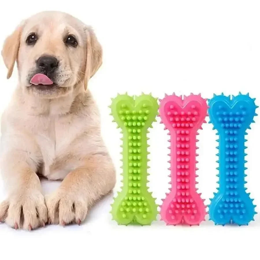 Dog Bone Rubber Chew Toy | Teeth Cleaning & Training Stick