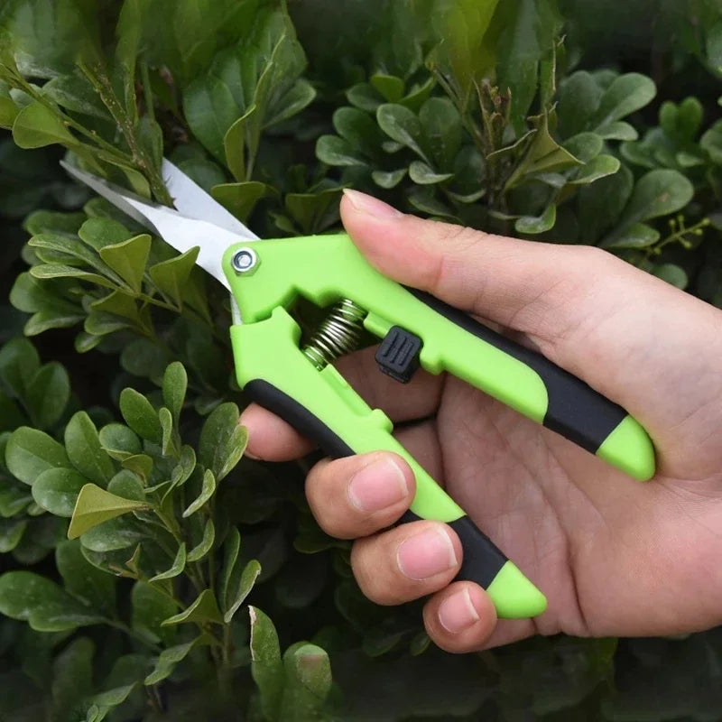Garden Pruning Shears Stainless Steel Plants Fruit Grape Picking
