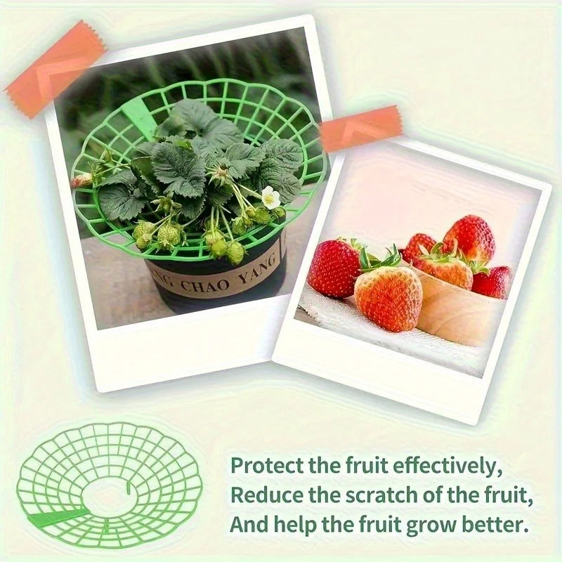 6 Green PVC Strawberry Support Cage Vegetable Garden 3-Legged Plant
