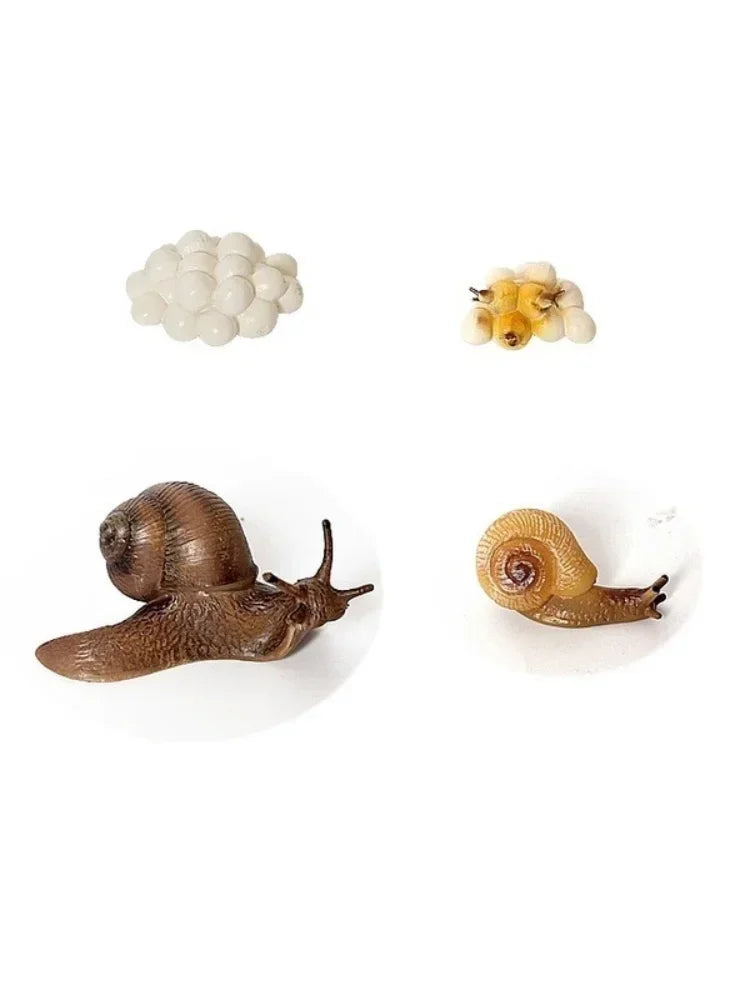 Realistic PVC Snail Animal Model | Kawaii Miniature Garden Decor