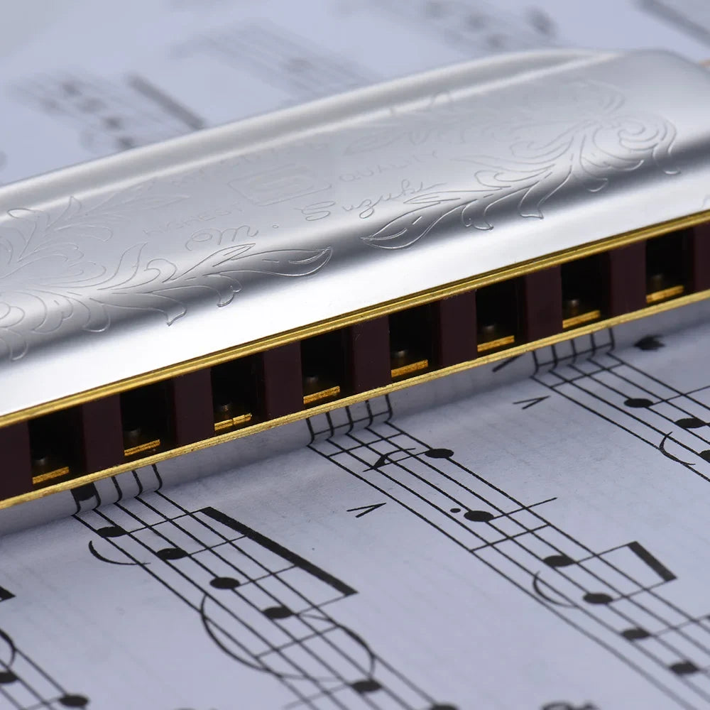 10-Hole Diatonic Blues Harmonica | Key C A B E F G, Beginner