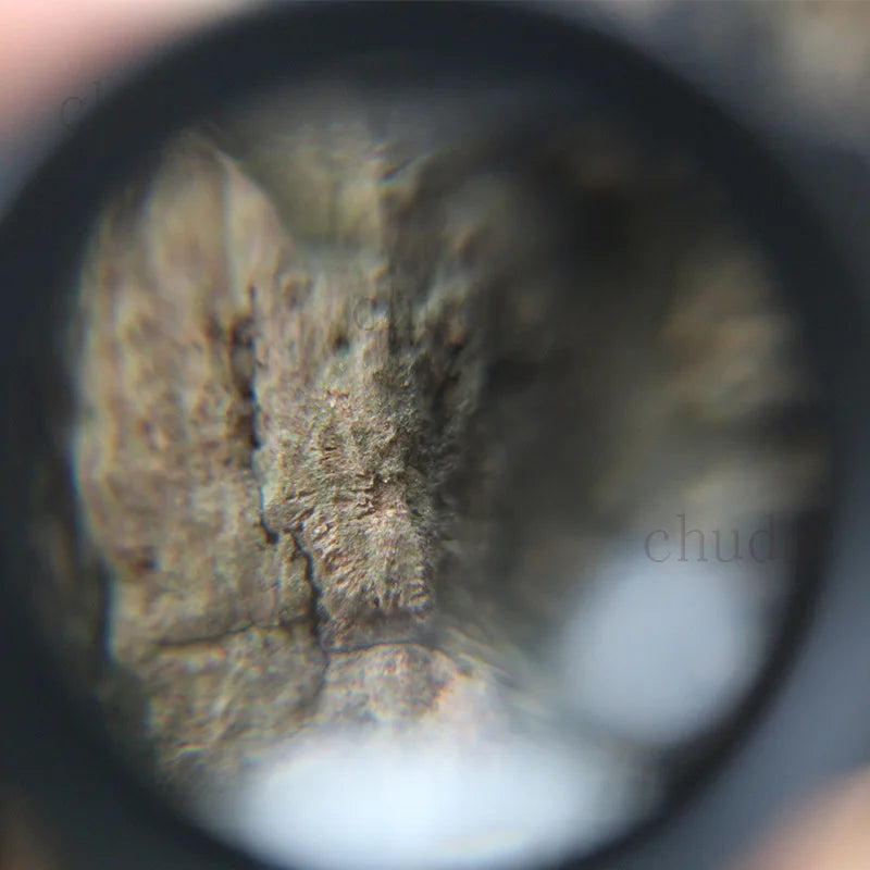 10X Cylindrical Film Slide Magnifier – HD Acrylic Loupe