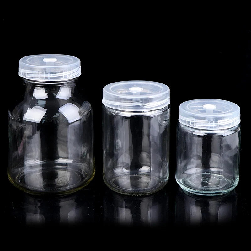 240ml Glass Tissue Culture Jar – Plant Seedling Propagation