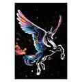 Animals DIY Paint Scratch Teen Adults 3 Tools Foil Art 15 94x11 Fun