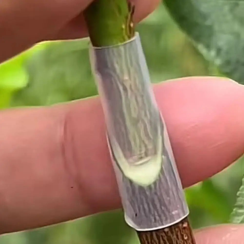 50-Pack Grafting Sleeves – Tomato, Eggplant & Fruit Trees