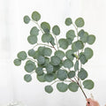 Artificial Eucalyptus Vine | Wedding Arch & Home Decor – 64cm