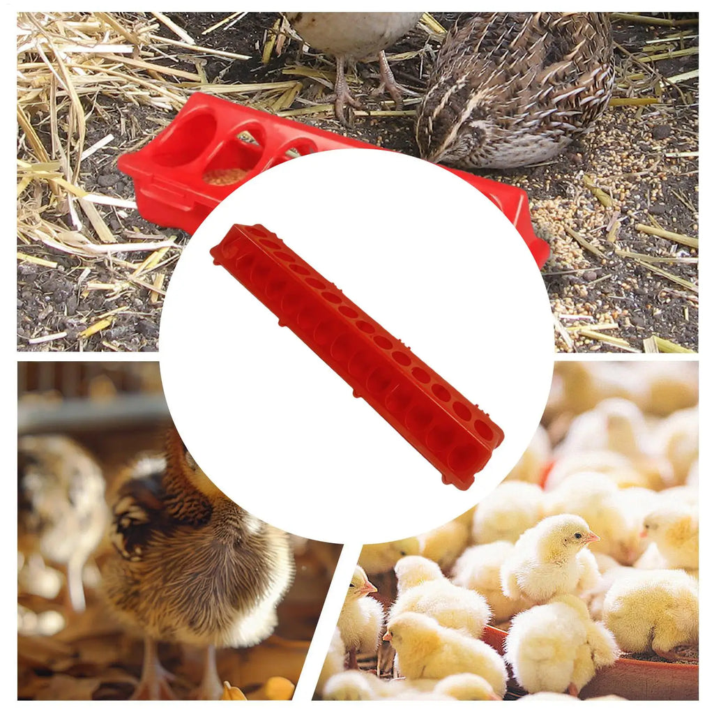 28-Hole Large Capacity Poultry Feeder for Pigeons, Doves & Chicks