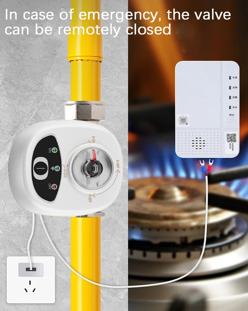 WiFi Smart Ball Valve DN15/DN20/DN25 | eWeLink Alexa Google