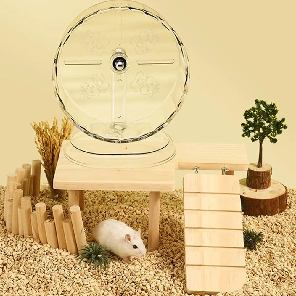 Hamster Transparent Silent Running Wheel – 3 Sizes, Easy Clean