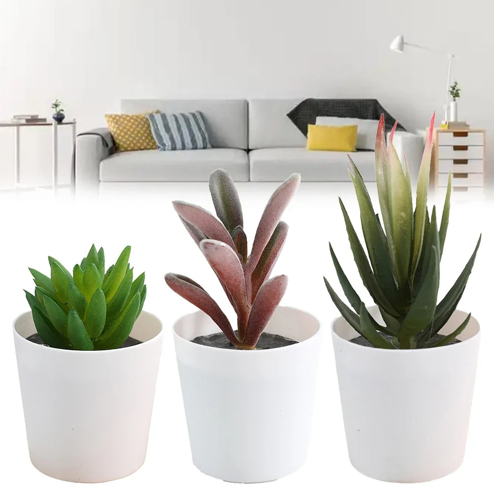 Artificial Succulent Bonsai Set of 3 – Faux Desktop Decor