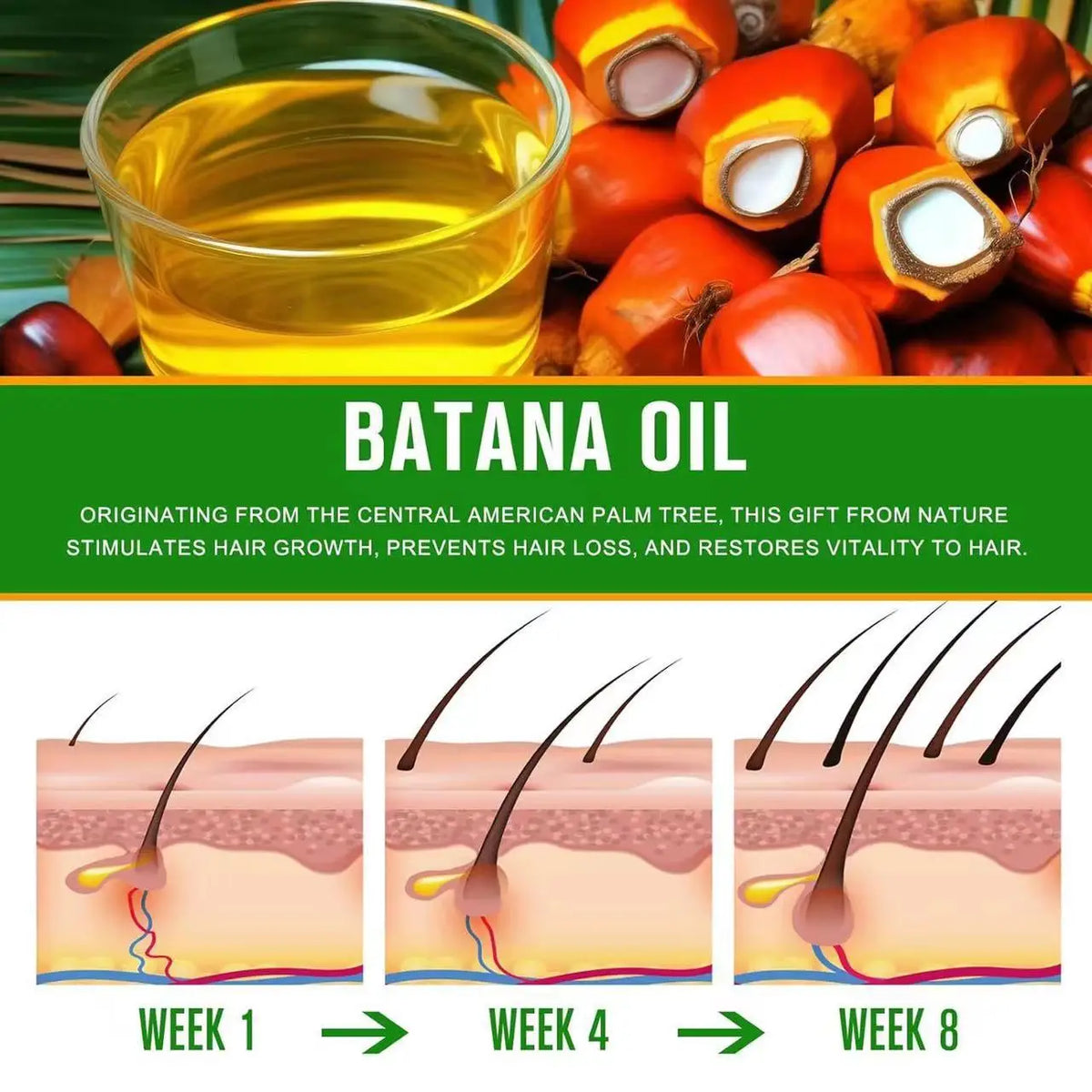 Raw Batana Oil Hair Growth 100 Natural Can Prevent Loss Both Men