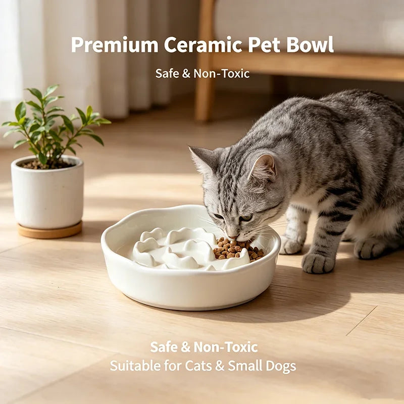 Ceramic Anti-Choking Slow Feeder Cat Bowl | Stable & Safe