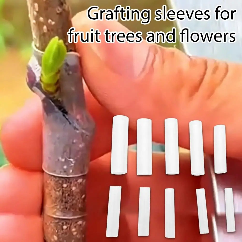 50-Pack Grafting Sleeves – Tomato, Eggplant & Fruit Trees