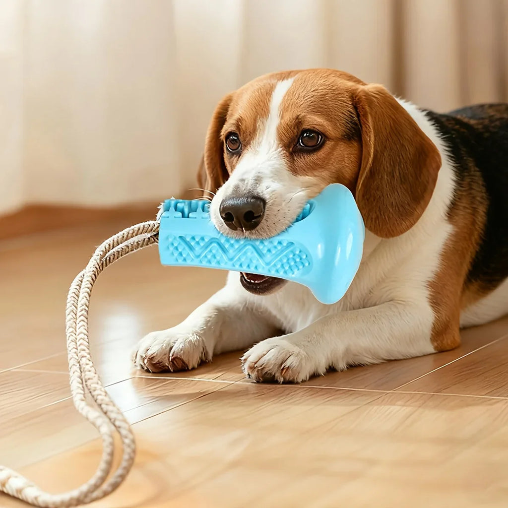 Dog Toy Suction Interactive Chew Teeth Grinding Ball Food Dispenser