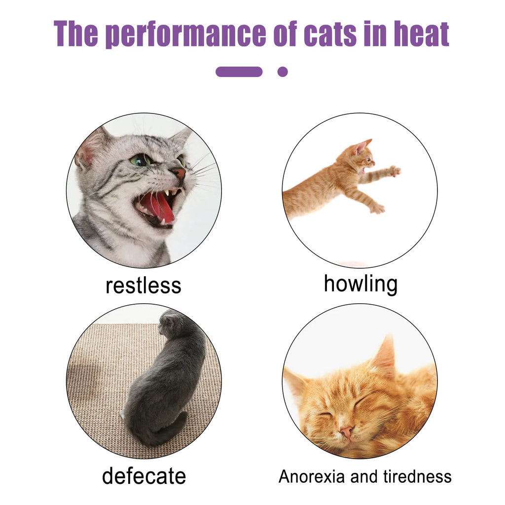 Pet Calming Pheromone Spray – Anxiety & Estrus Relief for Cats & Dogs
