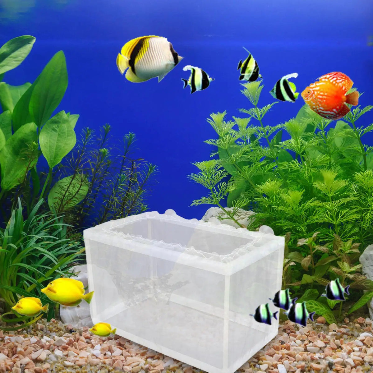 Breeder Box Fish Tank Isolation Mesh Juvenile Separation Net Suction