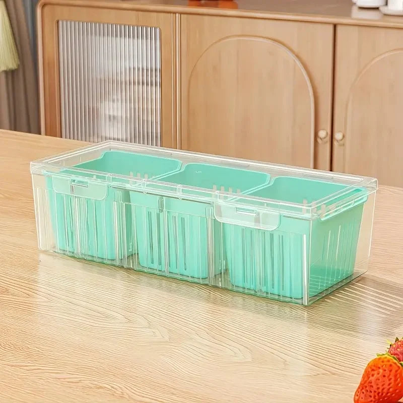 Compartment Bento Box Set – Transparent Food Storage Containers
