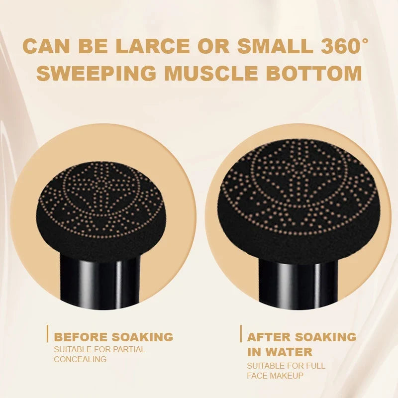 O'Cheal BB Cream Air Cushion Compact – Foundation & Concealer