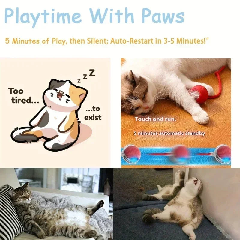 Interactive Auto Rolling Ball Toy for Cats & Dogs | USB Rechargeable
