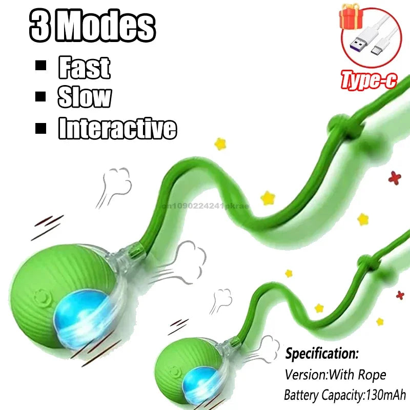 Interactive Auto Rolling Ball Toy for Cats & Dogs | USB Rechargeable