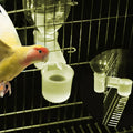 Double-Port Bird Water Dispenser – Splash-Proof Drinker Cup