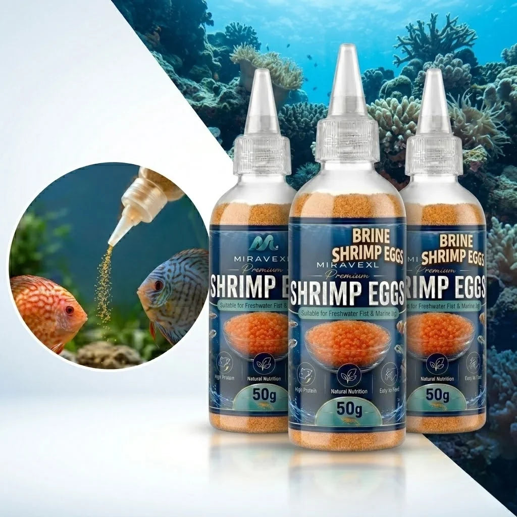 Decapsulated Brine Shrimp Eggs & Fish Fry Feeder Kit | 50g