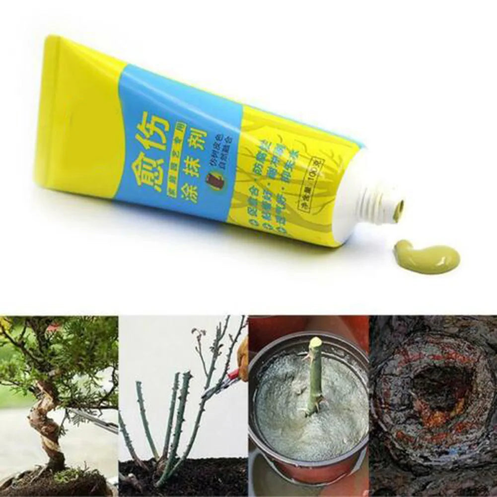 Bonsai Tree Pruning Wound Sealer Paste with Brush – 100g