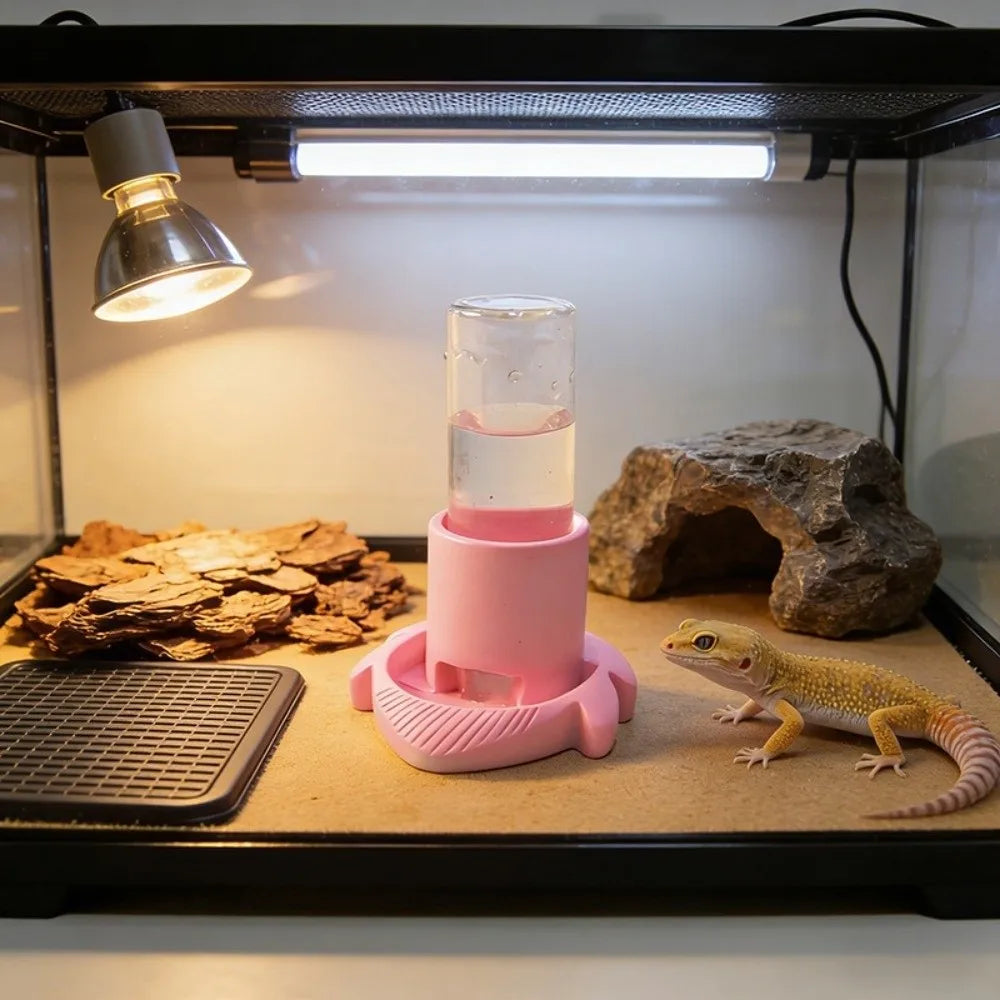 Reptile & Amphibian Water Dish | Anti-Slip Removable Base Bowl