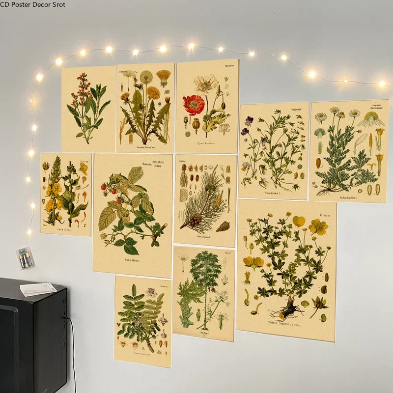 Botanical Herb & Flower Retro Kraft Paper Poster | Vintage Wall Art
