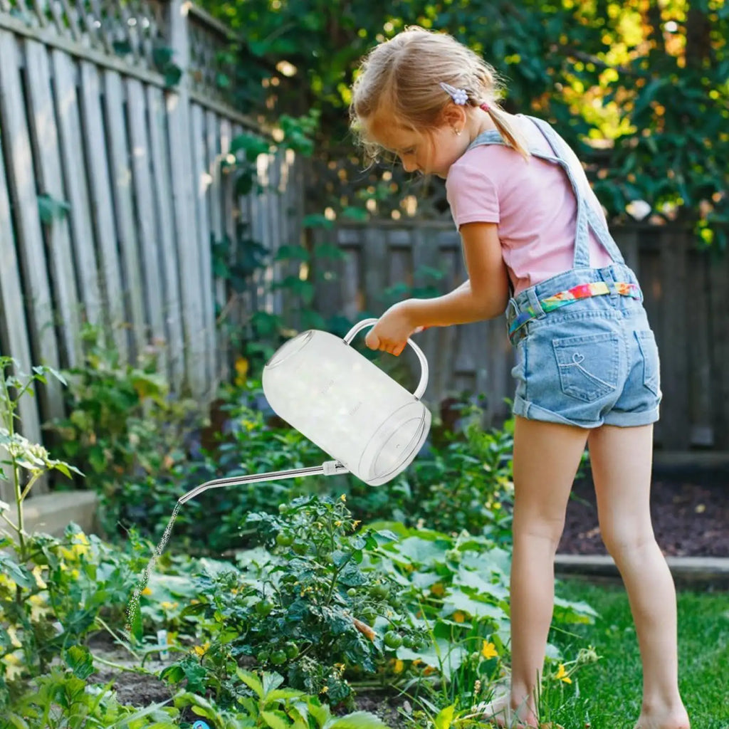 2L Long Spout Watering Can – Indoor & Garden Plant Care