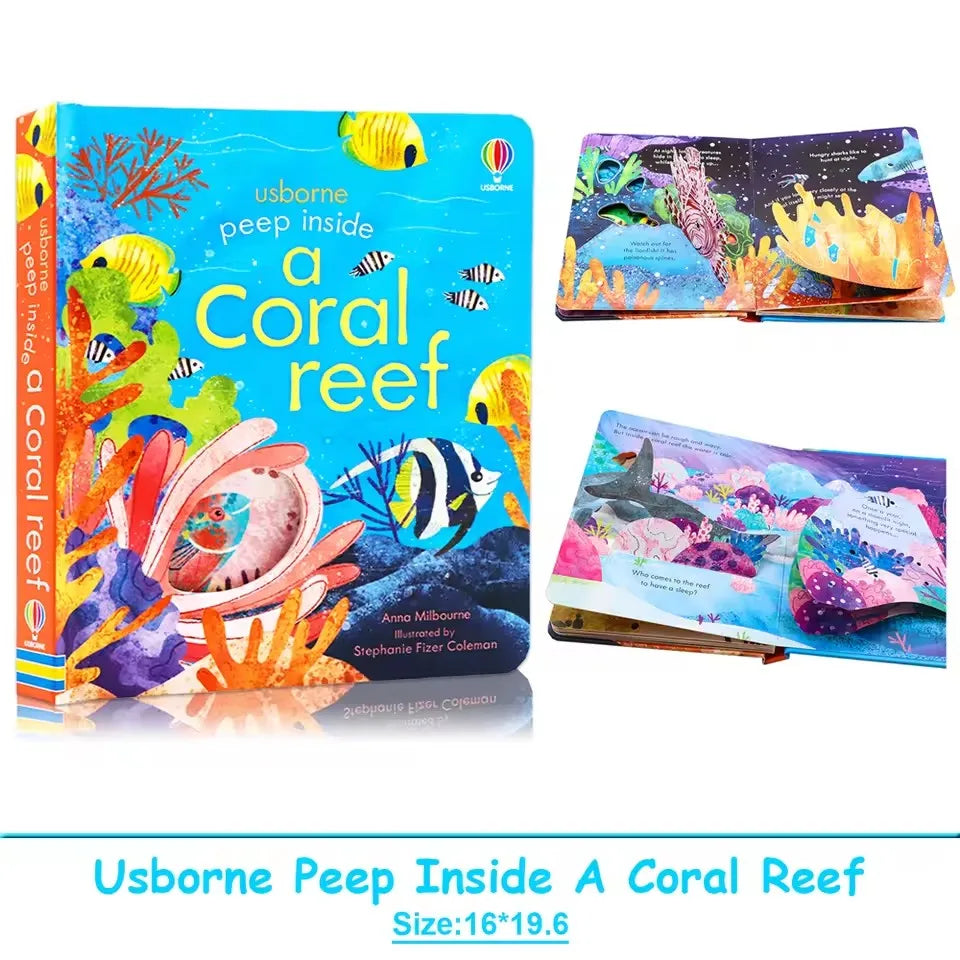 Usborne Peep Inside Coral Reef 3D Flap Picture Book Kids Children