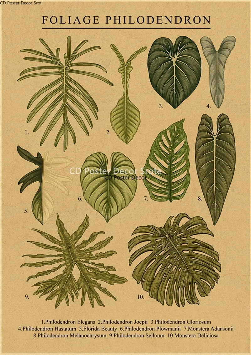 Vintage Botanical Poster – Kraft Paper Plant & Flower Wall Art
