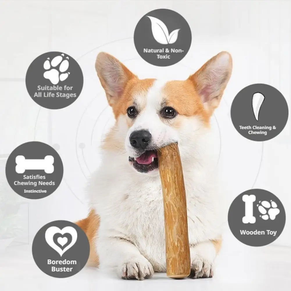 Natural Coffee Wood Dog Chew Sticks – Dental & Safe