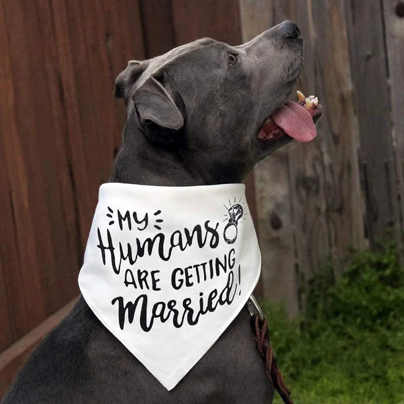My Humans Are Getting Married Dog Bandana | Wedding Pet Scarf