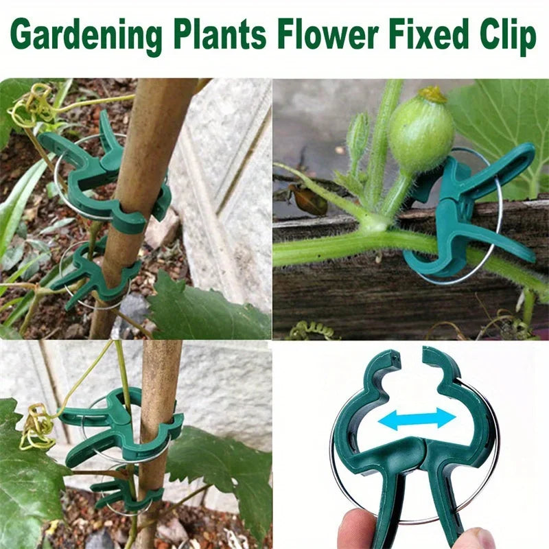 10 Adjustable Plant Fixed Clips Reusable Greenhouse Bracket Fixing