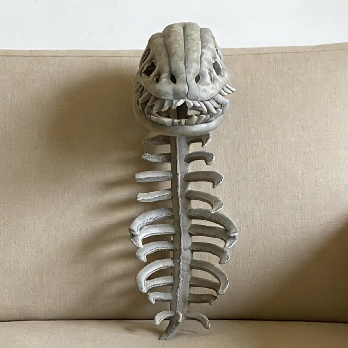 Dinosaur Skeleton Plush Costume – Kids & Adults Halloween
