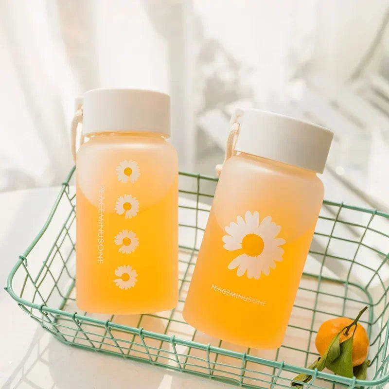Kawaii Frosted Transparent Water Bottle | Portable Insulated Cup