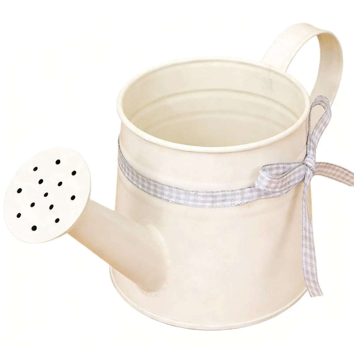 Mini Metal Watering Can – Decorative Indoor Plant Sprinkler 1L