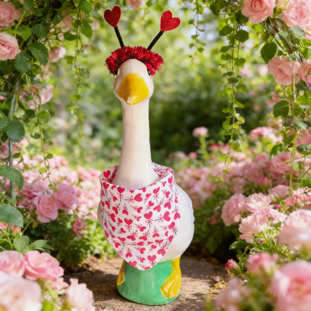 Porch Goose Bathrobe Costume – Cute Funny Goose Outfit